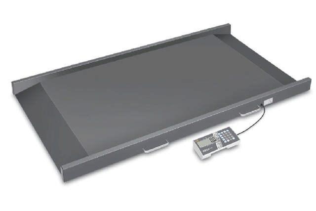 Plattformsvåg, MWS 300K-1LM 